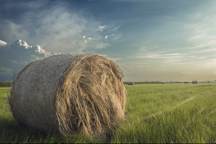 CSC II 2014 019 Mood Landscape C